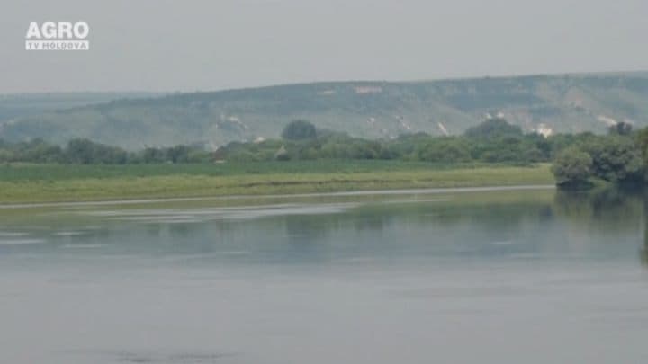 Florea Alexei, s. Slobozia-Cremene, Soroca