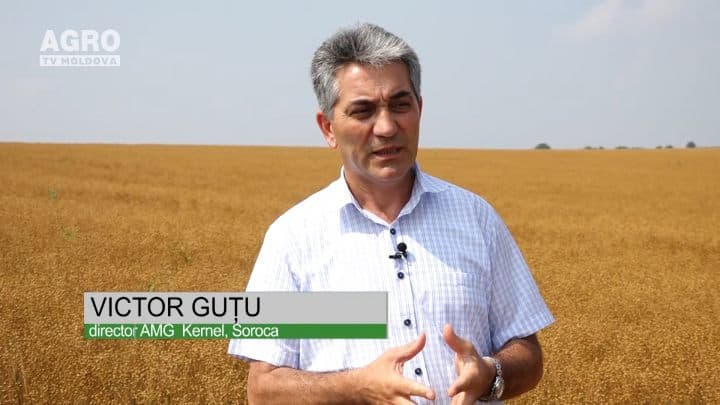 Victor Guțu, AMG Kernel, Soroca