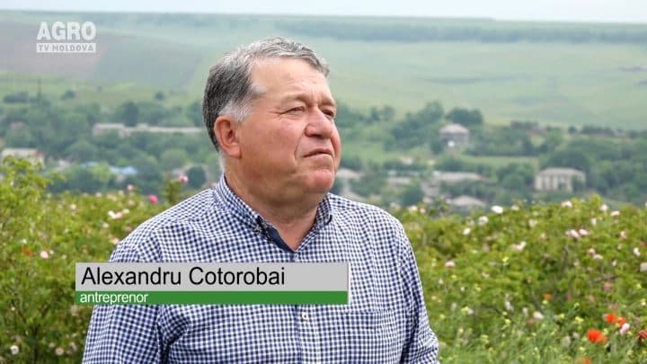 Alexandru Cotorobai, Cobusca Nouă, 05.06.2016