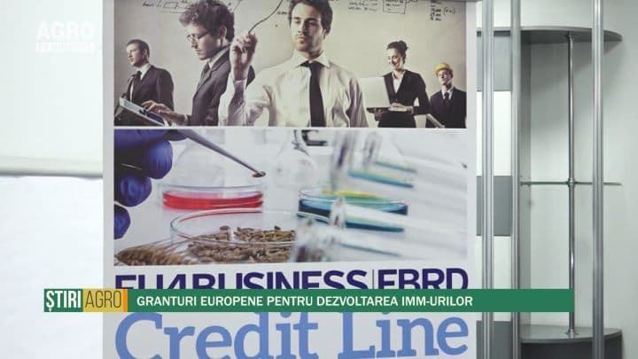 Granturi europene pentru dezvoltarea IMM-urilor