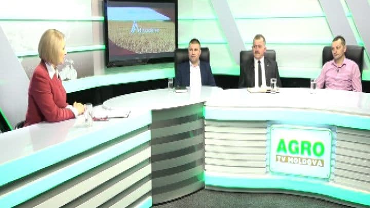 Ia Atitudine cu Tamara Fiştic-Anii: Cum oprim otrăvirea și peirea albinelor?