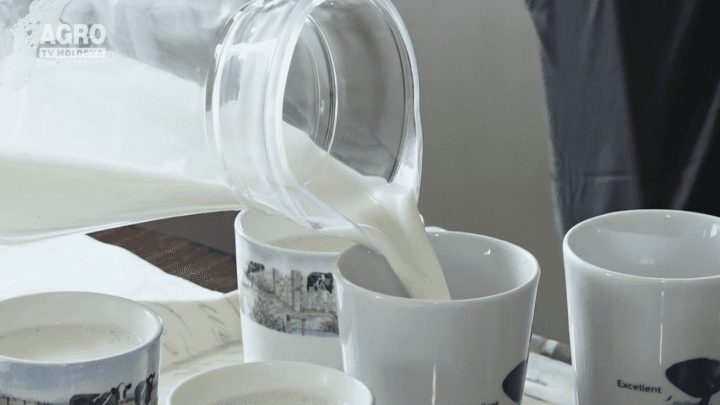 Promovare consum lactate, Proiect MILK