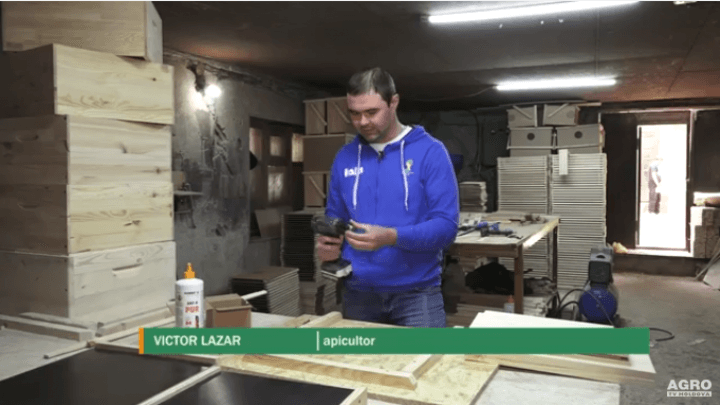 Agricultura Performantă în Moldova – Lecția nr.2, Apicultura