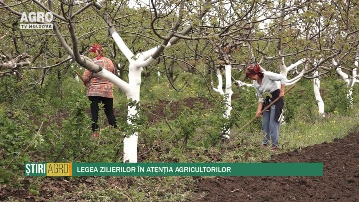 Legea zilierilor în atenția agricultorilor