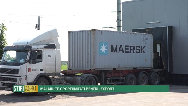 Mai multe oportunități pentru export