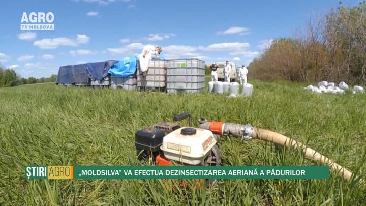 „Moldsilva” va efectua dezinsectizarea aeriană a pădurilor