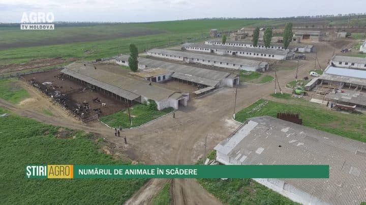 Numărul de animale în scădere