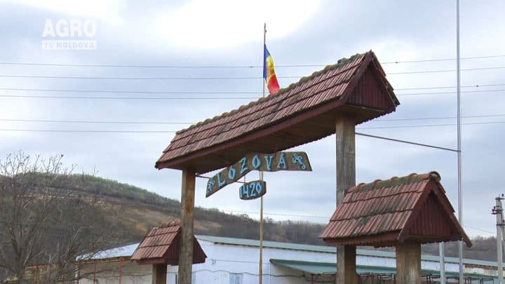 Ora satului 15 noiembrie 2015