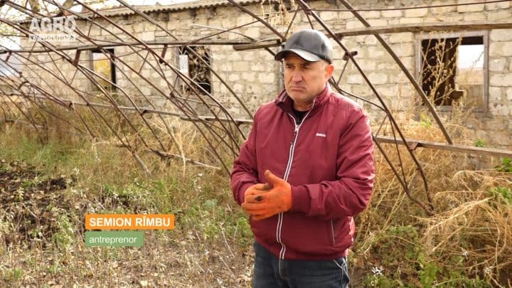 Cătina albă - o afacere de milioane