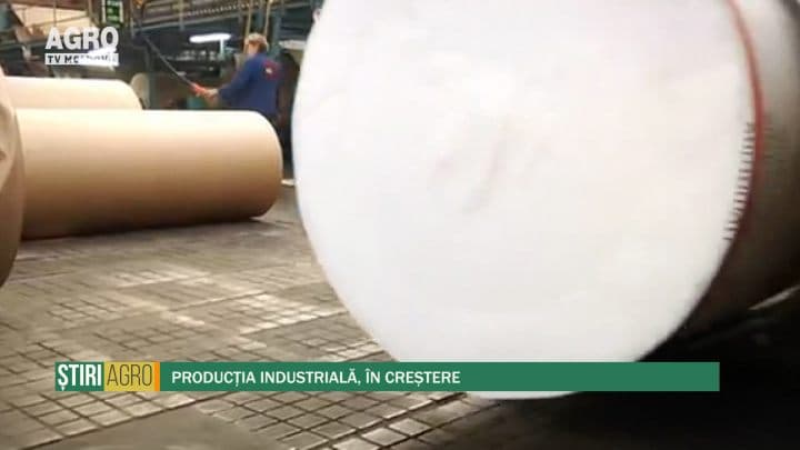 Producția industrială, în creștere