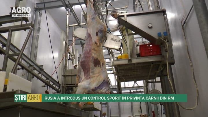 Rusia a introdus un control sporit în privința cărnii din RM