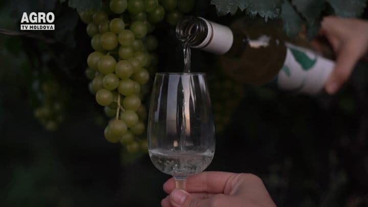 Familia Agrici, istoria a două generații de creatori de vinuri de excepție