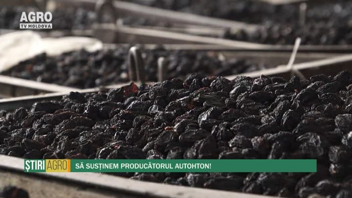 Să susținem producătorul autohton!