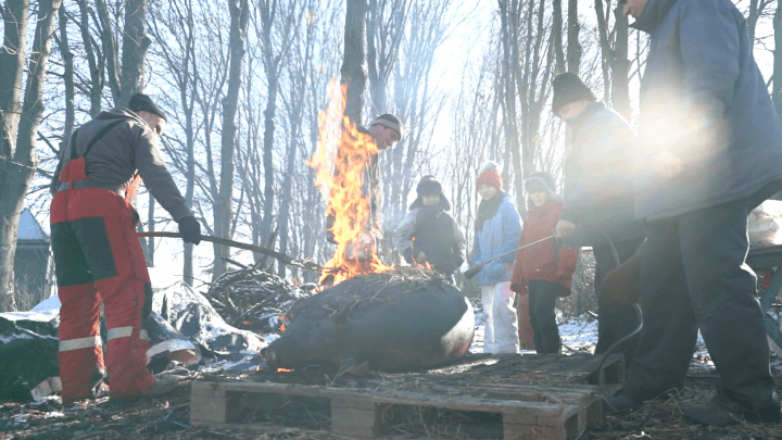 Baștina din 06.01.2019