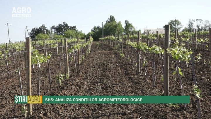 SHS: Analiza condițiilor agrometeorologice