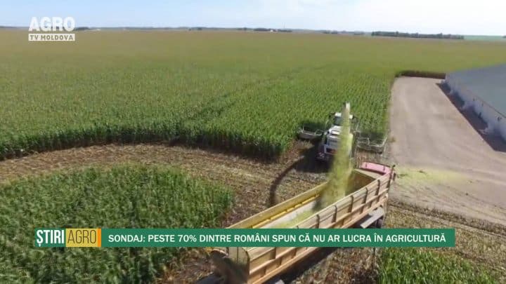 Sondaj: Peste 70% dintre români spun că nu ar lucra în agricultură