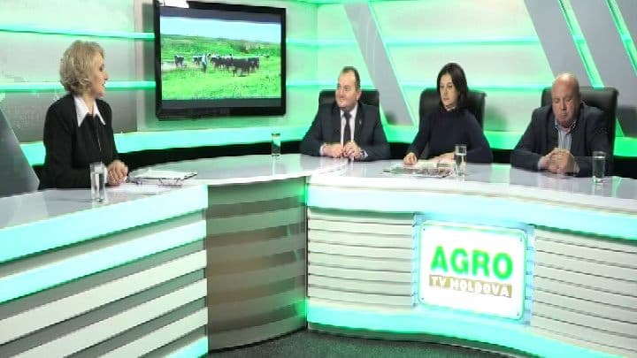 Ziua Lucrătorului din Agricultură și Industria de Prelucrare: Modernizarea sectorului - obiectiv real?