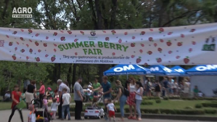 Festivalul Summer Berry Fair
