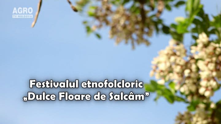 Festivalul etnofolcloric „Dulce Floare de Salcâm”