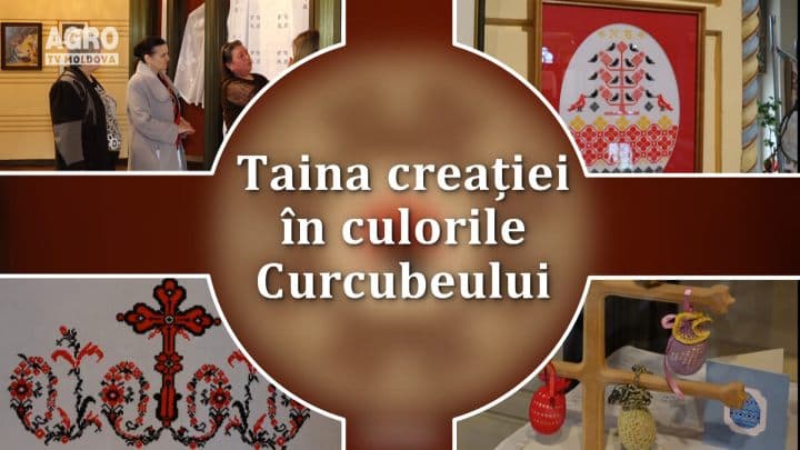 Taina creaţiei în culorile Curcubeului