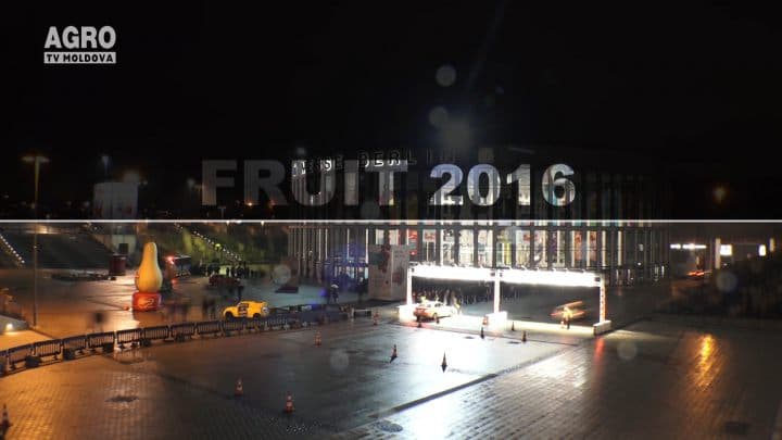 Fruit Logistica 2016 (II)