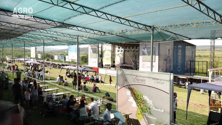 Primul Festival oeno-gastronomic Devin&Degust