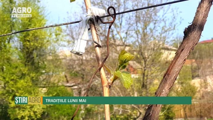 Tradițiile lunii mai