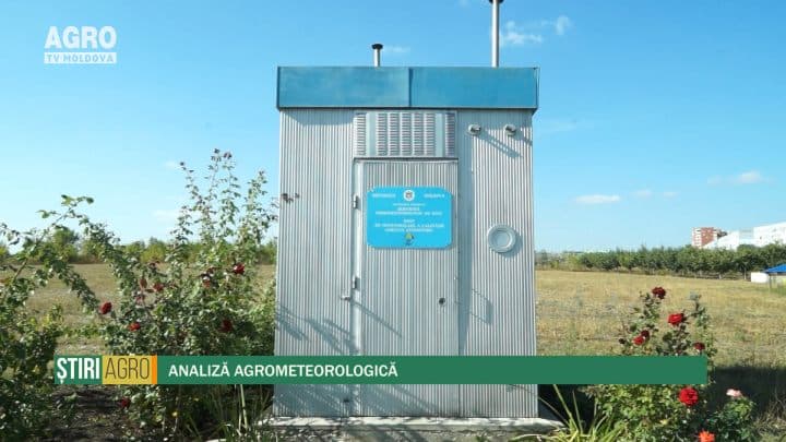 Analiză agrometeorologică
