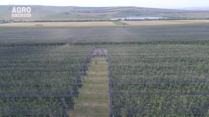 Baștina din 02.06.2019