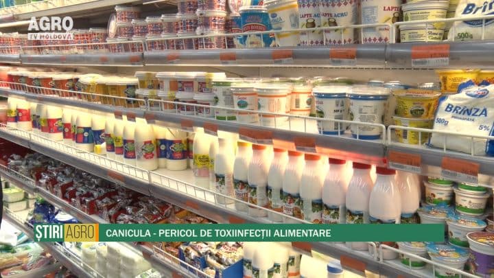 Canicula - Pericol de toxiinfecții alimentare