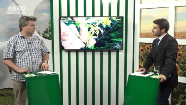 Lucrările de întreținere a plantațiilor de viță de vie. INVITAT: Gheorghe Nicolaescu, decanul Facultății de Horticultură a UASM