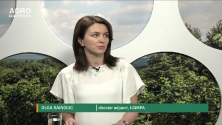 Cine și cum poate accesa granturile proiectului MAC-P. INVITATĂ: Olga Sainciuc, Director adjunct al Unității Consolidate pentru Implementarea și Monitorizarea proiectelor în domeniul Agriculturii