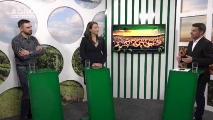 Importanța industriilor creative pentru sectorul agroalimentar. INVITATAȚI: Olesea Fortuna, președinta GEN Moldova și Sergiu Zănoagă, fondatorul unei companii de animație și film