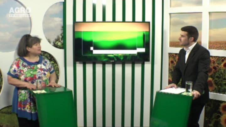 Măsuri de eficientizare a polenizării culturilor agricole. INVITAT: Asea Timuș, doctor în agricultură