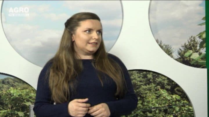 Prevederile politicii fiscale referitoare la sectorul agrar și mediul rural. Invitat: Veronica Vragaleva, vice-ministru al Finanțelor.