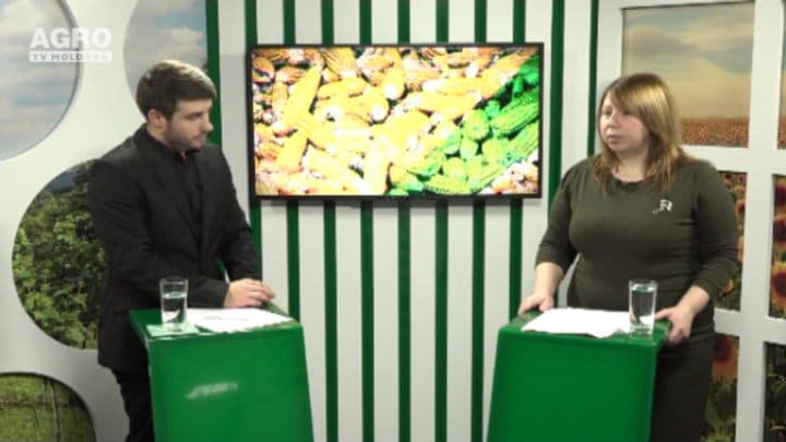 S-a deschis sezonul de vânătoare a animalelor răpitoare. Invitat: Victoria Covali, reprezentant Moldsilva