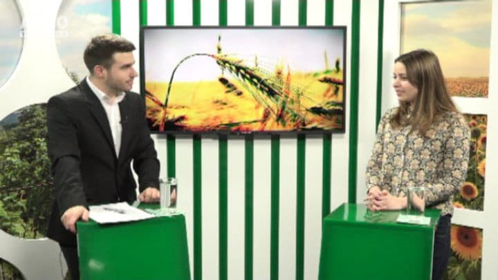 Moldova tot are vinuri cu indicație geografică și denumire de origine protejată. Invitat: Diana Rotari, specialist ONVV