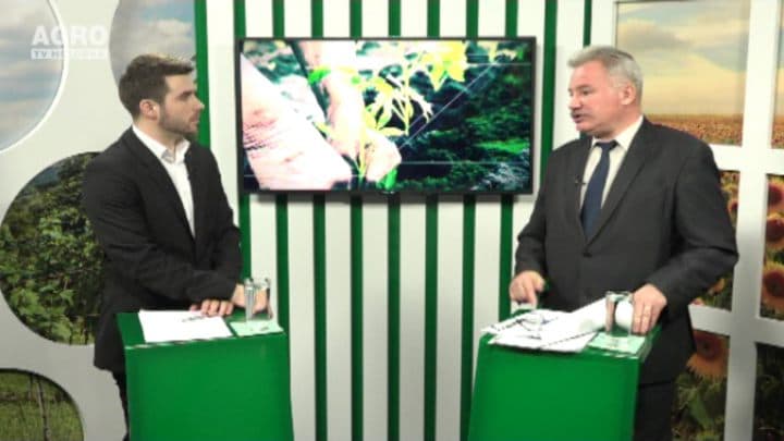 Cum ne facem dreptate atunci când cumpărăm produse necalitative? INVITAT: Veaceslav Ciuhri, expert APC