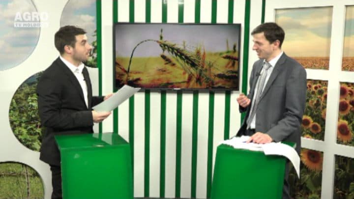 Avem dreptul să exportăm în UE, dar nu acoperim nici măcar cotele permise. INVITAT: Sergiu Țirigan, șef direcție din cadrul MAIA