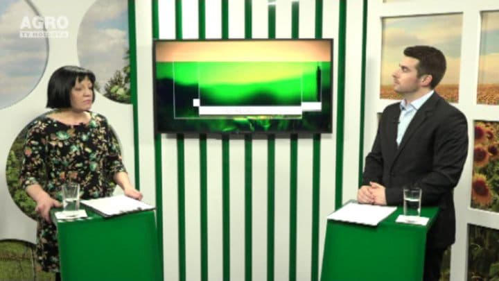 Ce măsuri trebuie să ia apicultorii pentru a obține mai multă miere. INVITAT: Valentina Cebotari, specialistă în apicultură și cercetător științific din cadrul Institutului de Zoologie al Academiei de Științe a Moldovei