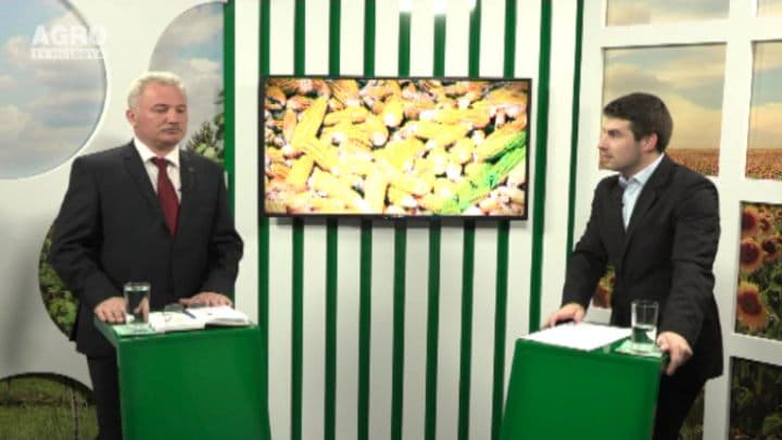 Antibioticele din meniu – riscuri și amenințări privind utilizarea lor. INVITAT: Veaceslav Ciuhrii, expert APC