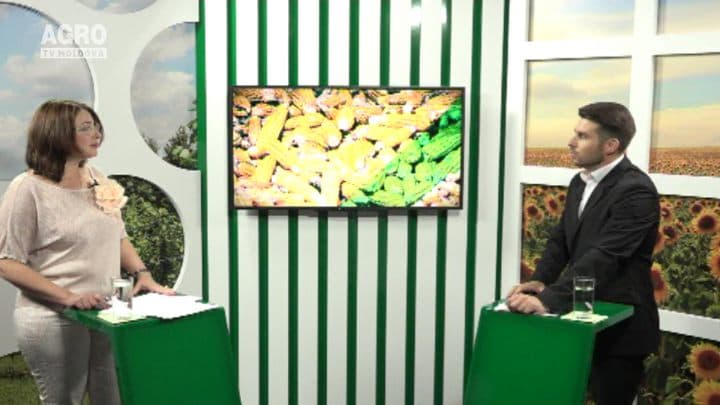 Consecințele anulării restricțiilor la importul de lactate din Ucraina. INVITATĂ: Carolina Linte, Președinta Asociației Producătorilor și Procesatorilor de Lapte