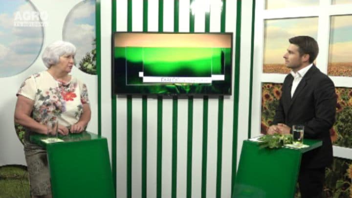 Florile de tei și calitățile lor curative. INVITATĂ: Lilia Chisnicean, doctor în agricultură