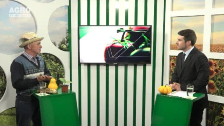 Recomandări tehnologice pentru cultivarea dovleacului. INVITAT: Ion Ciocan, producător agricol