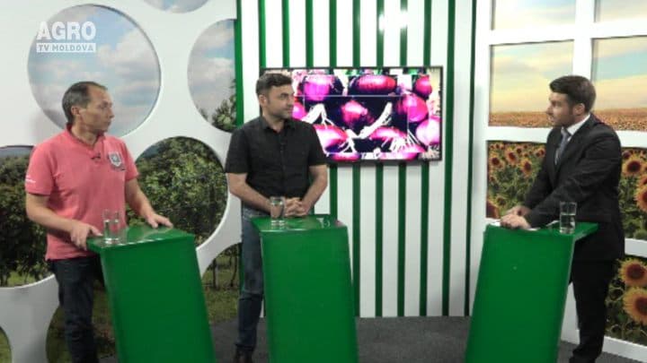 Gustar și CIVIC FEST se vor desfășura în parteneriat. INVITAȚI: Vlad Costandoi, organizator al Festivalului Internațional de muzică Gustar 2016 și Tudor Ștefan, directorul CIVIC FEST
