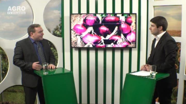 Crescătorii de ovine și caprine s-au pomenit într-o situație dificilă. INVITAT: Oleg Mașner, director pe știință în cadrul IMCZMV