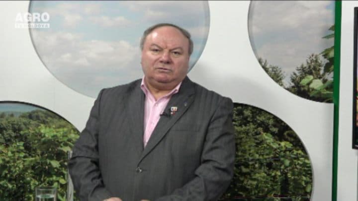 Salariile în plic și efectul lor nefast asupra angajaților din agricultură. INVITAT: Petru Chiriac, Vicepreședintele Confedrației Naționale a Sindicatelor din Moldova