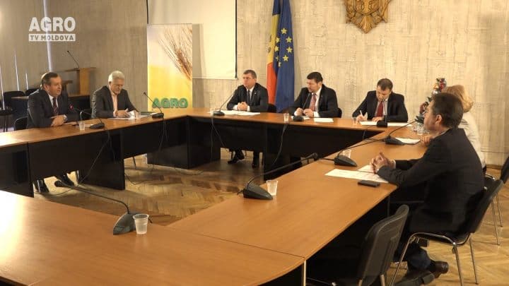 Ora bilanțului. Cum a fost anul agricol 2016 și așteptările pentru 2017
