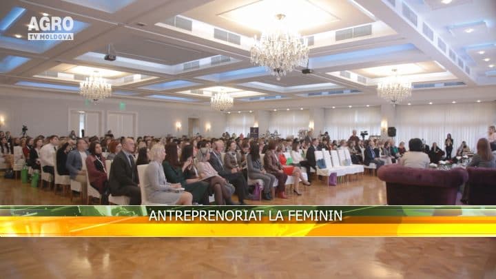 Antreprenoriat la feminin