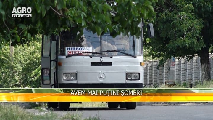 Avem mai puțini șomeri